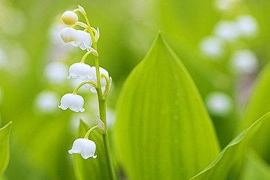 《木卫四协议》总监：我们从《海绵宝宝》中汲取开发灵感